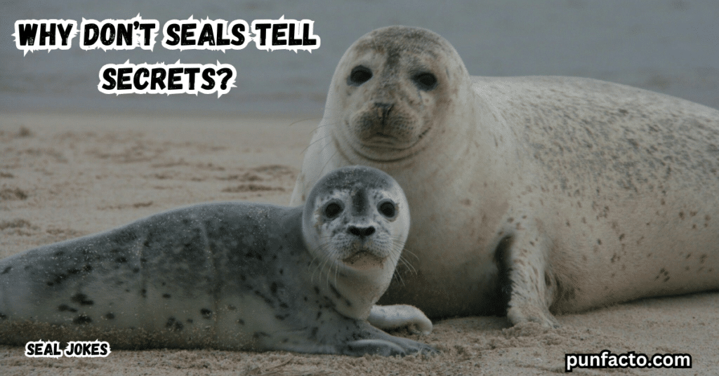 What’s a seal’s favorite part of the newspaper?
