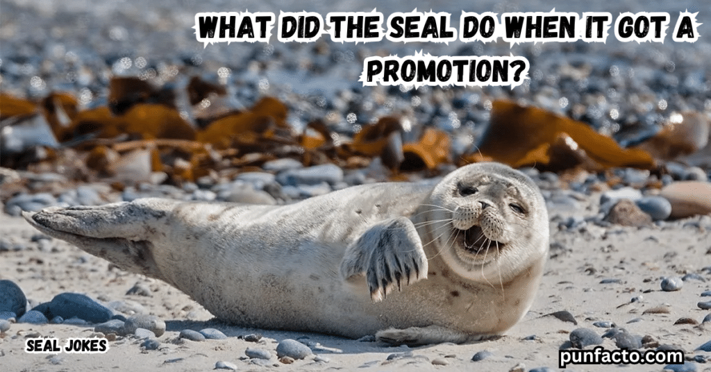 What did the seal do when it got a promotion?
