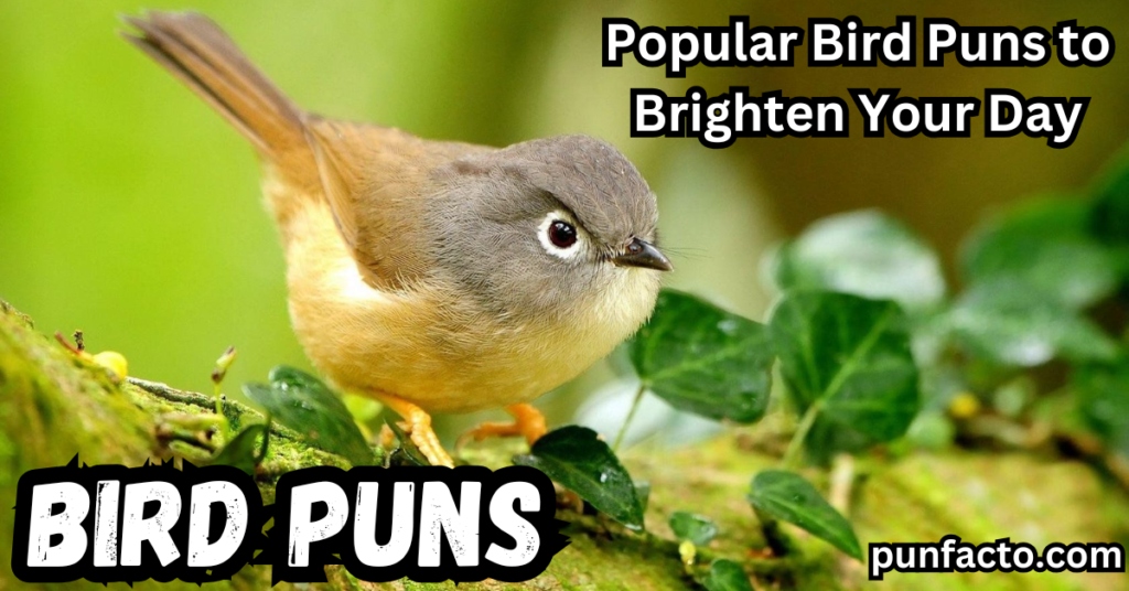 Popular Bird Puns 