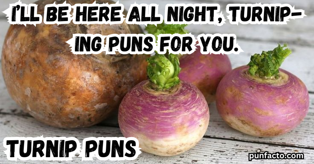 I’ll be here all night, turnip-ing puns for you.