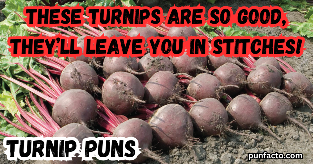 These turnips are so good, they’ll leave you in stitches!