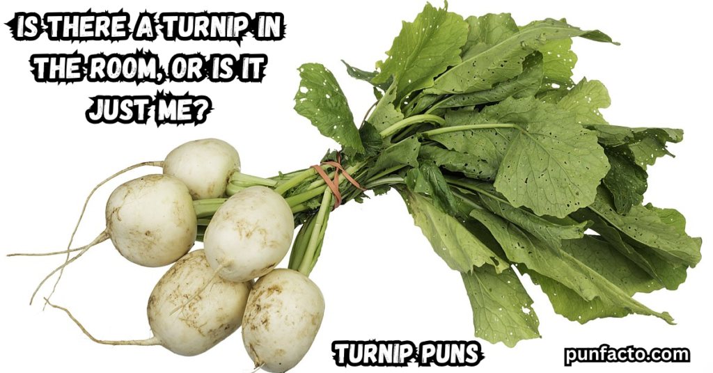 Is there a turnip in the room, or is it just me?