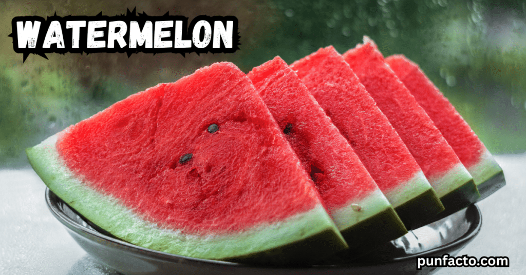 melon puns