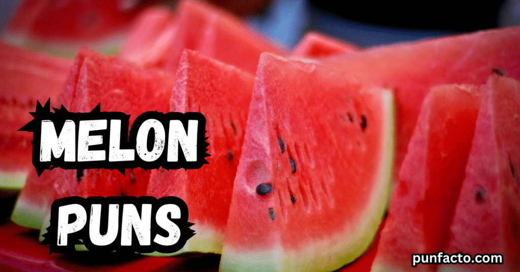 Melon-Inspired Jokes for Friends