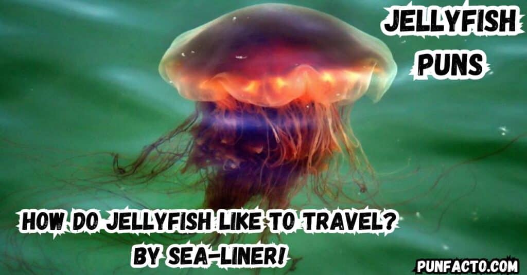 Funny Jellyfish Jokes to Brighten Your Day