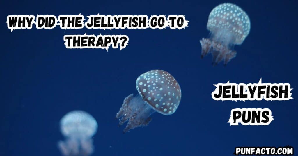  More Jellyfish Jokes for Your Sea of Laughter