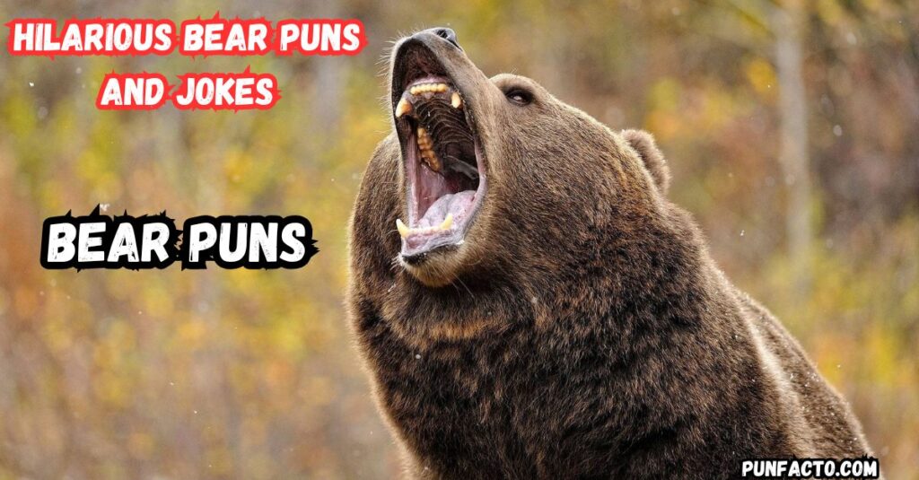 Hilarious Bear Puns and Jokes