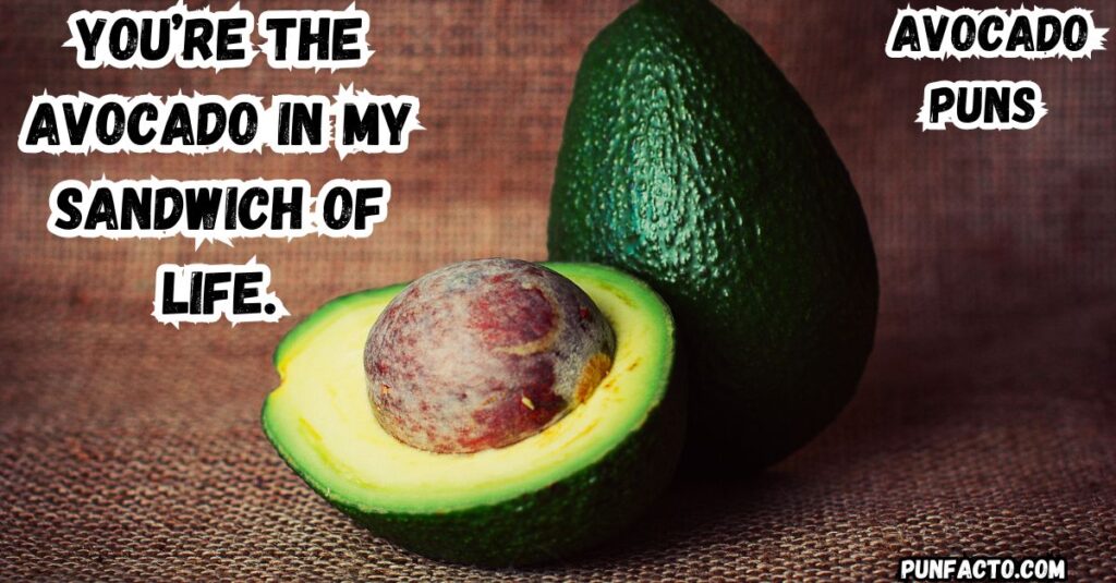  Avocado Puns for the Whole Family