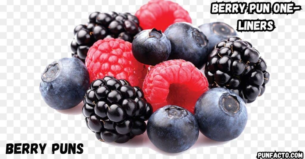 Berry Pun One-Liners