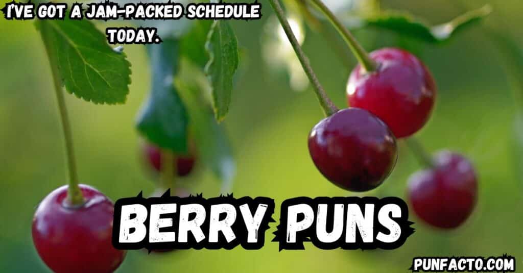 Berry Jokes for Adults