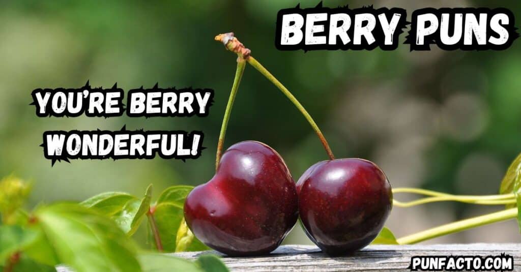 More Berry Puns to Make You Smile