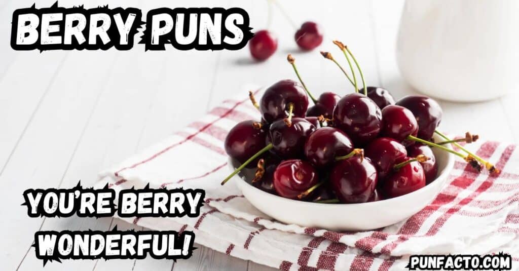 Cute Berry Jokes for Kids and Adults