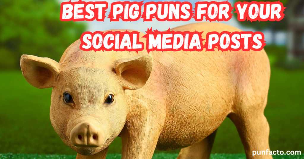 Best Pig Puns for Your Social Media Posts