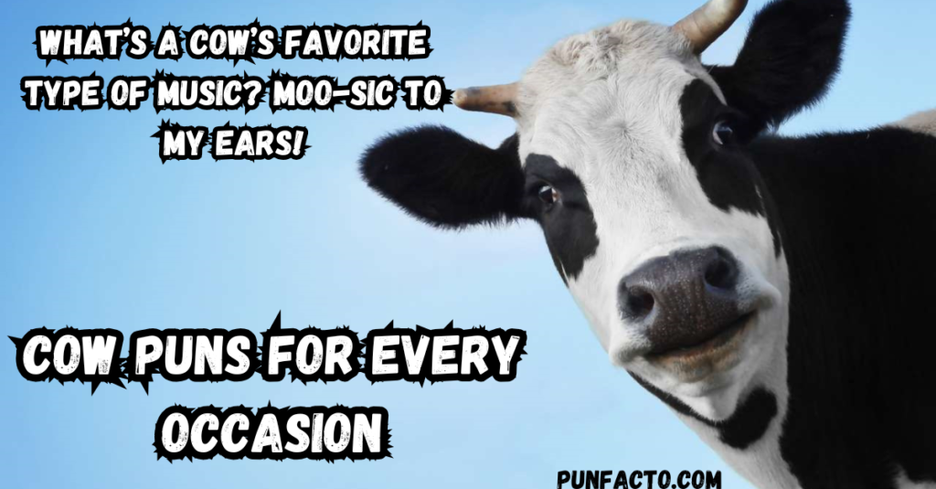 More Cow Puns for Every Occasion