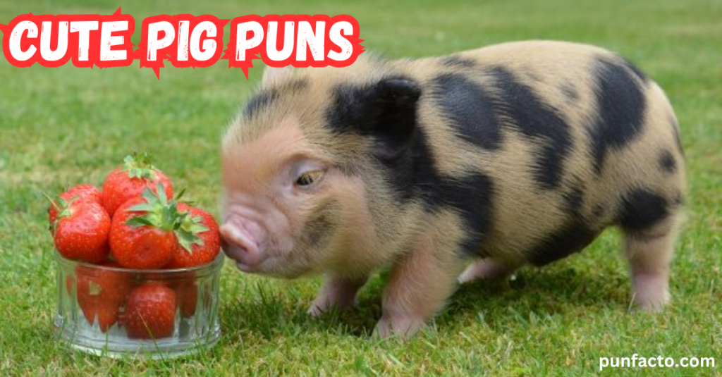 Cute Pig Puns