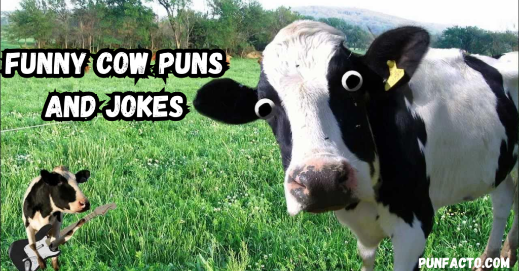 Funny Cow Puns and Jokes