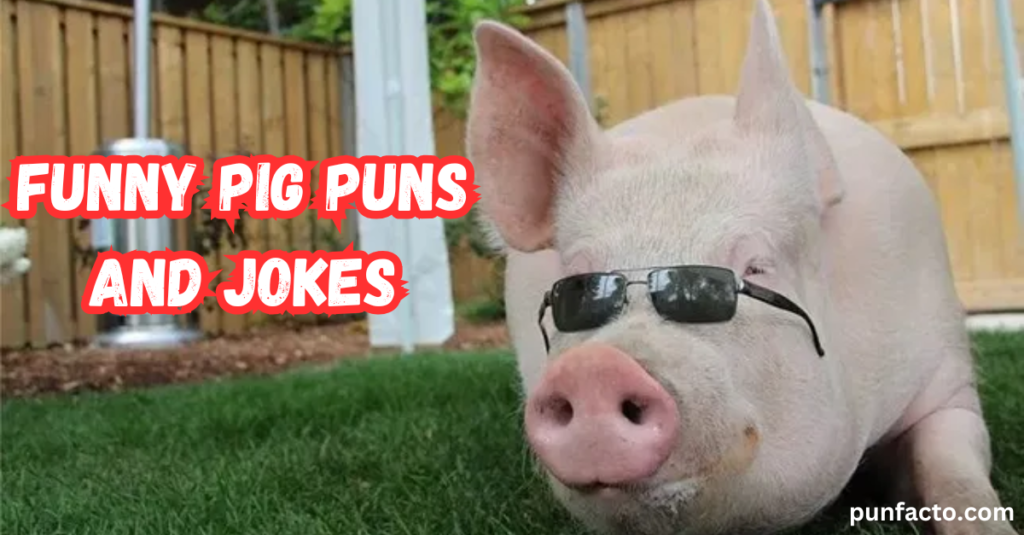 Funny Pig Puns and Jokes