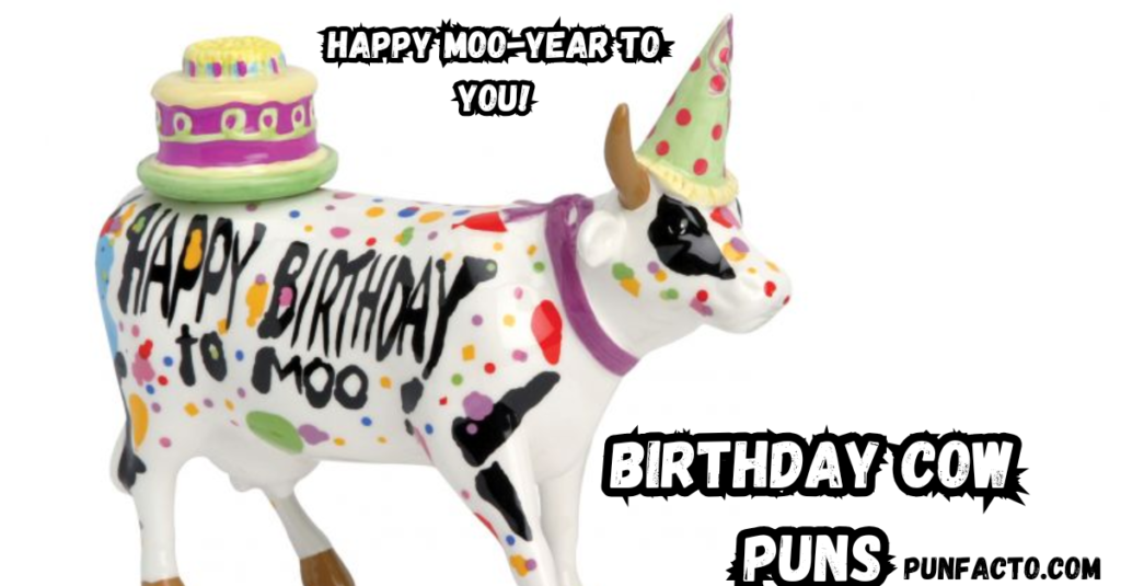 Birthday Cow Puns