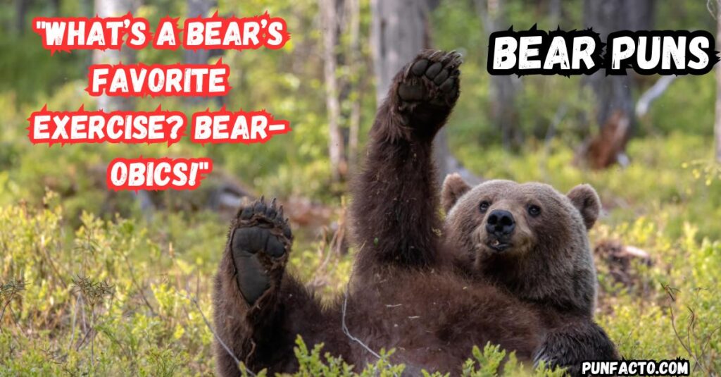 Silly Bear Puns That Will Have You Giggling