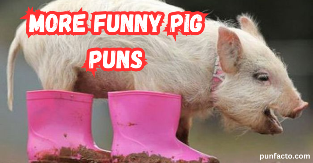 More Funny Pig Puns