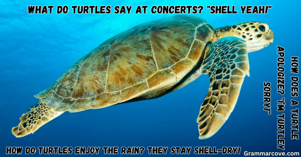 More Shell-arious Turtle Humor