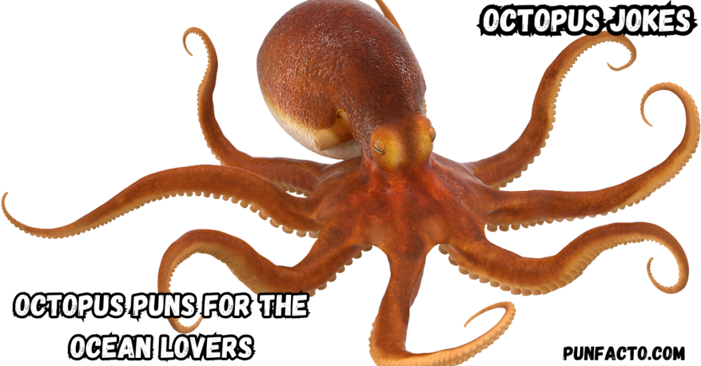 octopus Jokes 