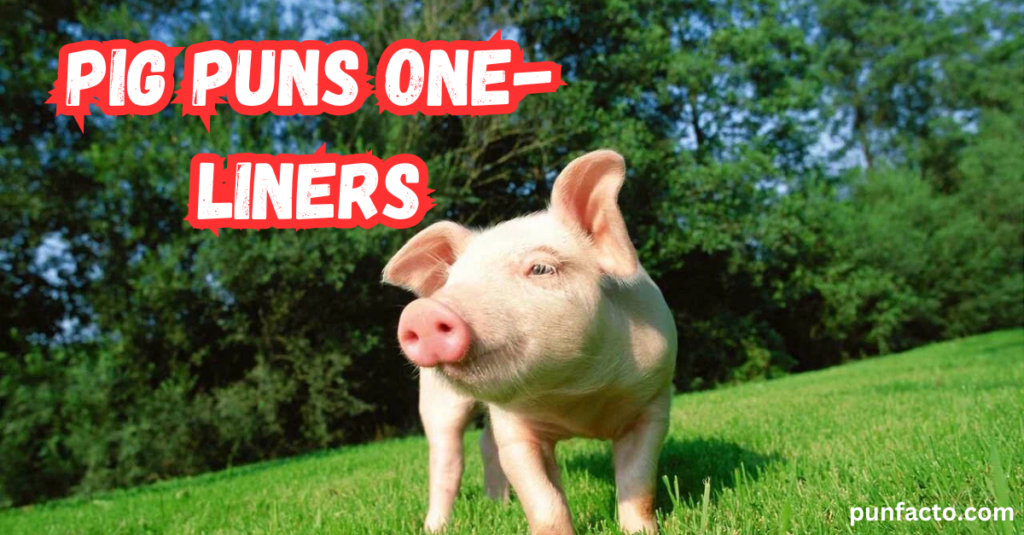 Pig Puns One-Liners