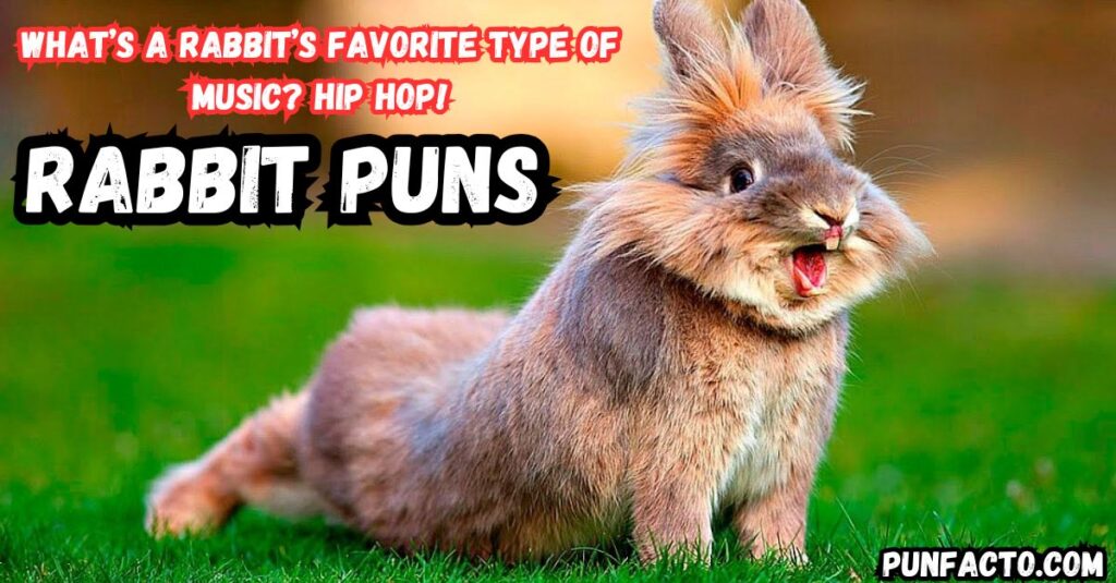 Funny Rabbit Puns and Jokes