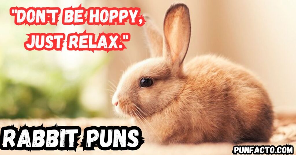 More Rabbit Puns One-Liners