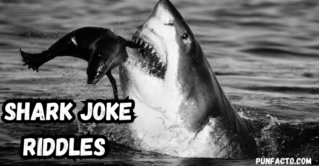 8. Shark Joke Riddles