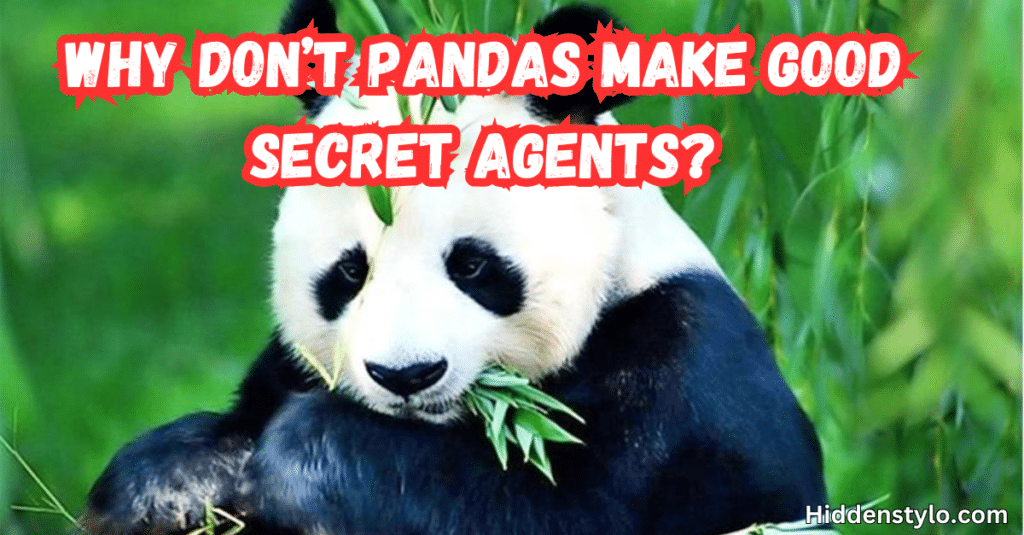 Why don’t pandas make good secret agents? 