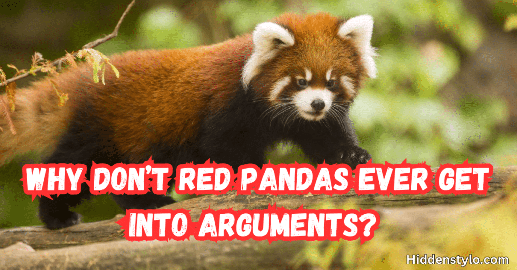 Red Panda Puns