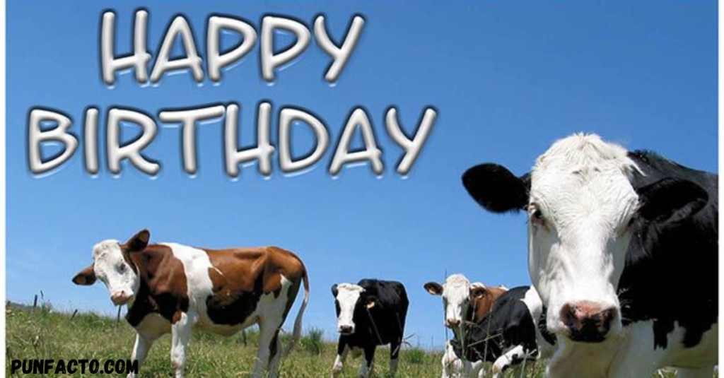 Extra Birthday Cow Puns