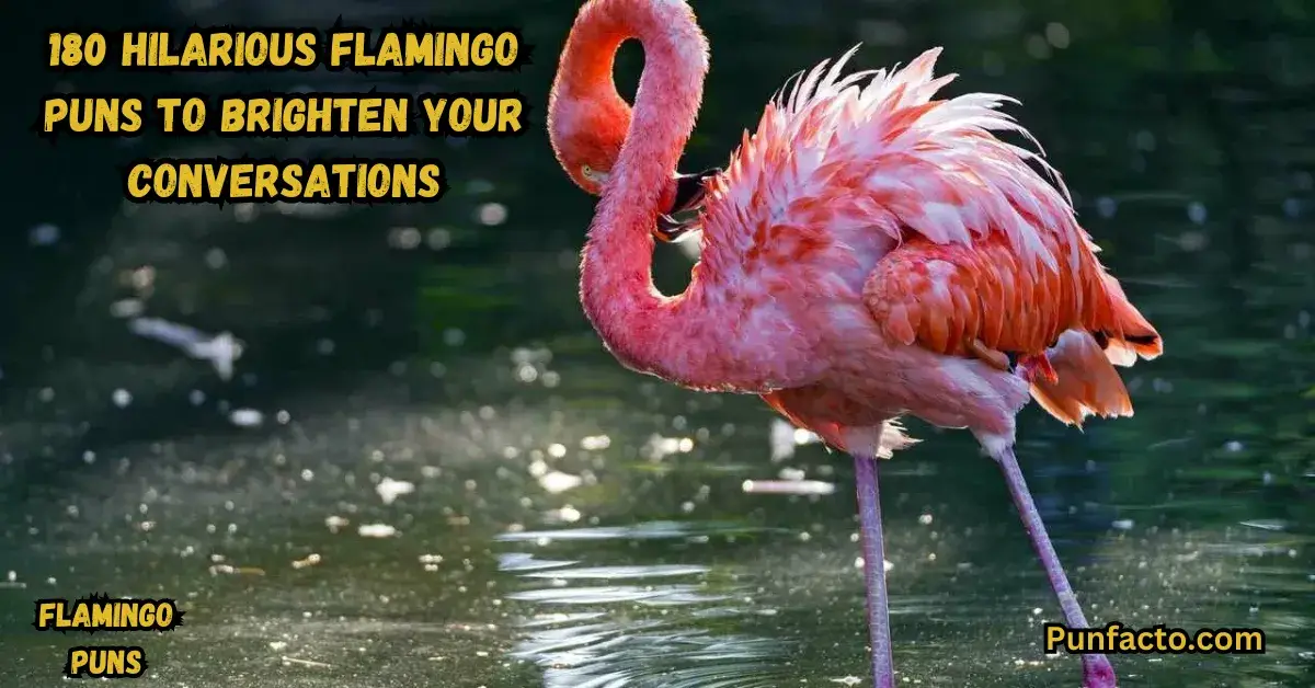 180-hilarious-flamingo-puns-to-brighten-your-conversations