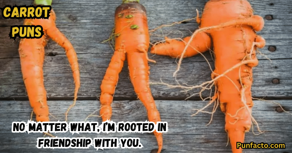 Carrot Puns for Your Besties