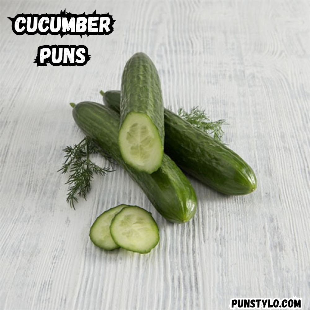 Cucumber Puns for Friends and Social Gatherings