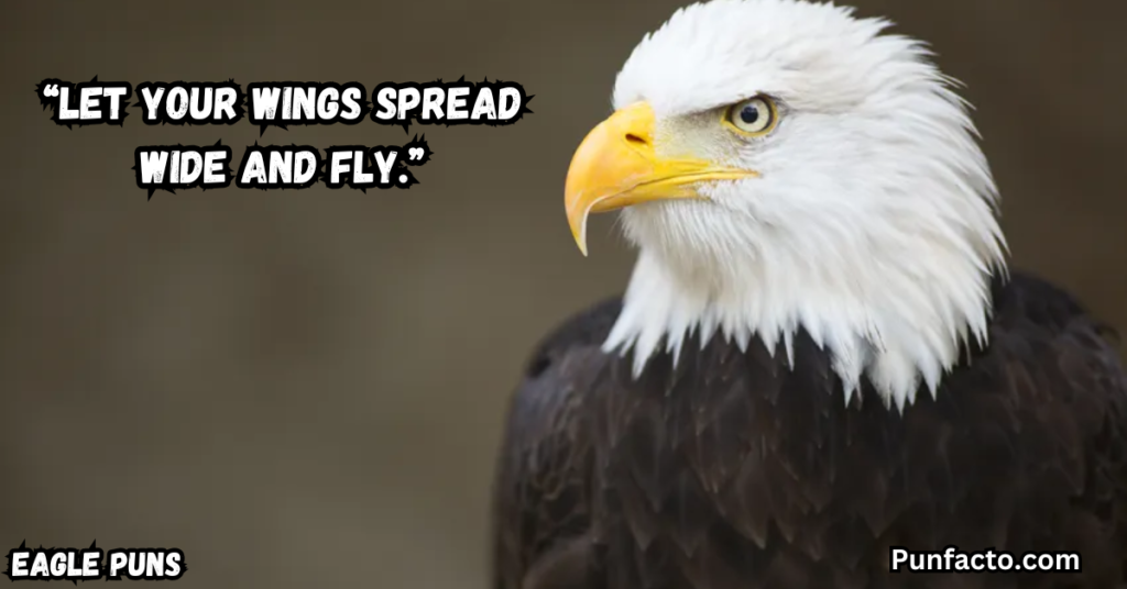 Fly High with Eagle Wordplay