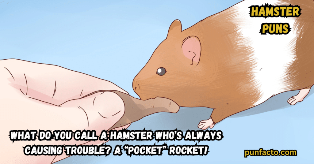 Hamster Hijinks 