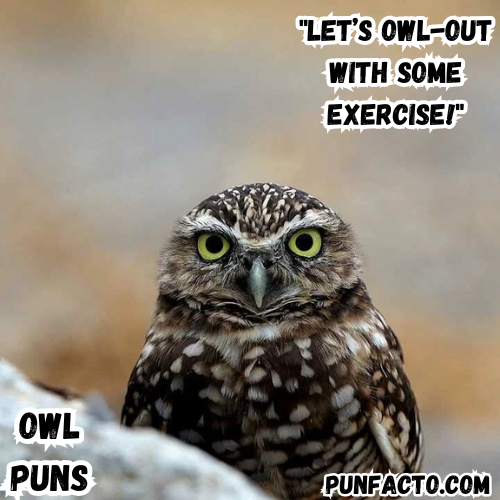 Let’s owl-out with some exercise!