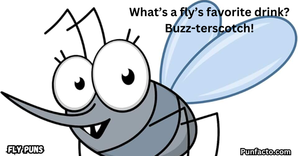 _More Fly Humor