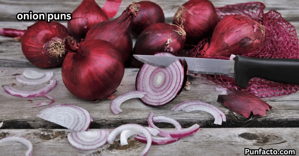 _Onions and Pop Culture