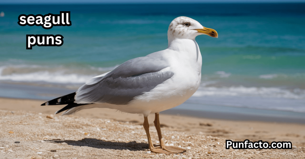 _Seagull Puns About Flying