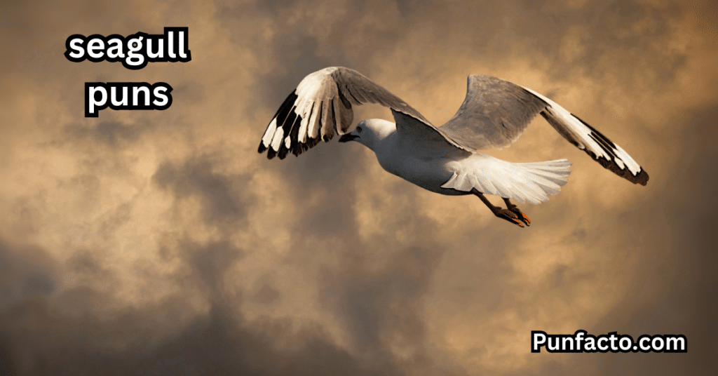_Seagull Puns About Nature