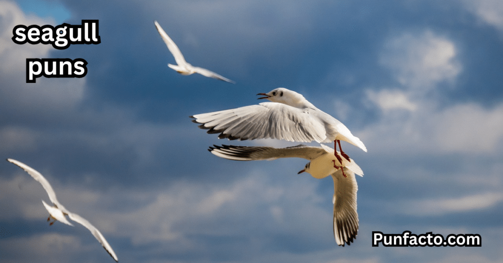 _Seagull Puns About Relaxing