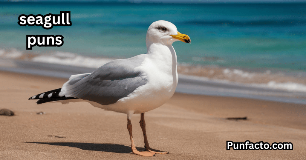 _Seagull Puns About Summer