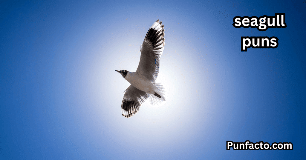 _Seagull Puns About The Ocean