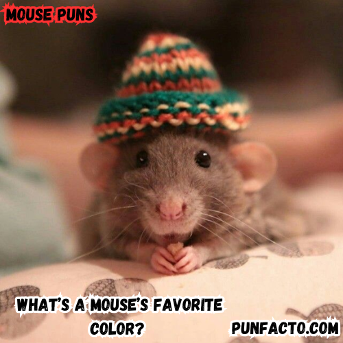 Cute and Punny Mice