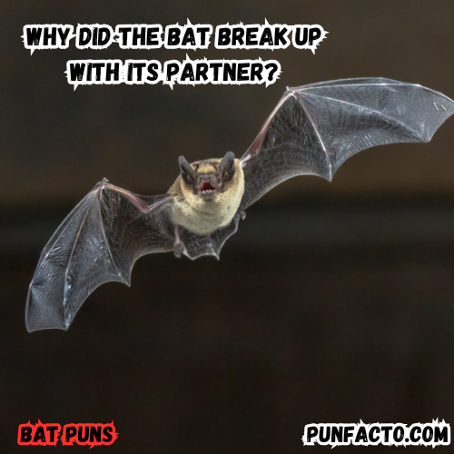 Spooky Bat Jokes