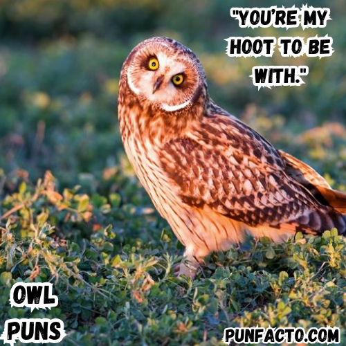 You’re my hoot to be with.