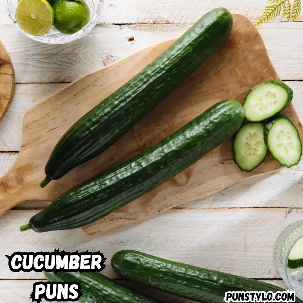 _cucumber-puns-for-friends-and-hangouts